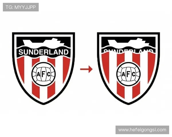 桑德兰俱乐部的辉煌历程与未来发展展望解析 桑德兰俱乐部的辉煌历程与未来发展展望解析