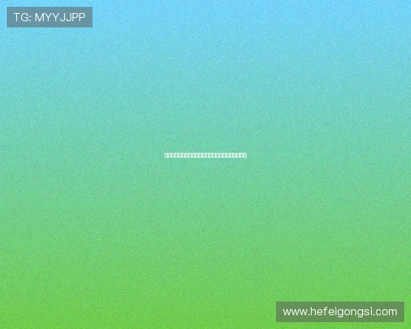 拉齐奥足球俱乐部历史辉煌与未来发展潜力的深度解析