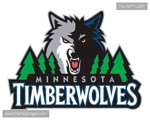 以明尼苏达森林狼队为核心深度解析球队崛起与未来发展前景图景 以明尼苏达森林狼队为核心深度解析球队崛起与未来发展前景图景