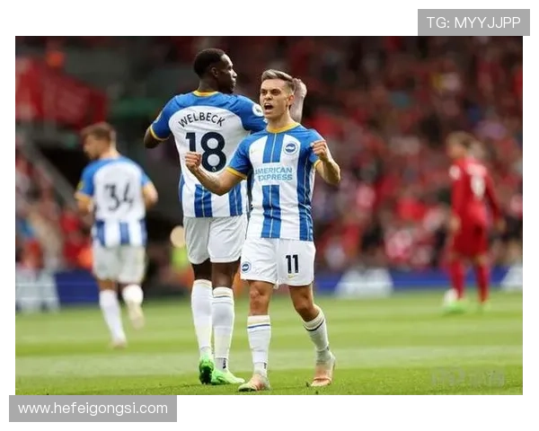 布莱顿俱乐部宣布新签约球员正式加盟并亮相球队训练场