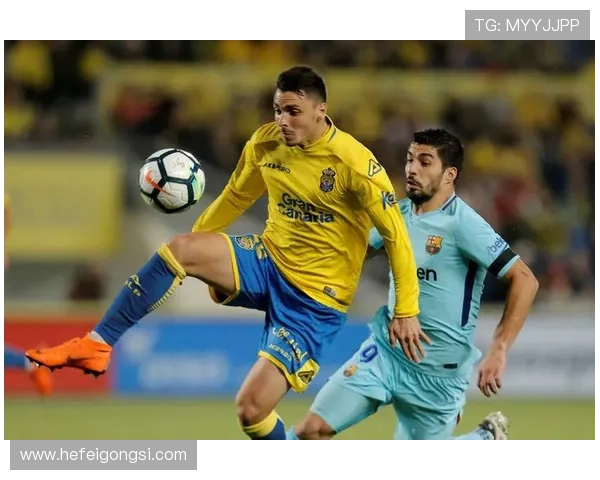 海登海姆绝杀逆转 保级成功重燃德甲希望